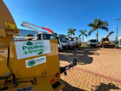 Paulínia lança programa para ampliar arborização e áreas verdes da cidade